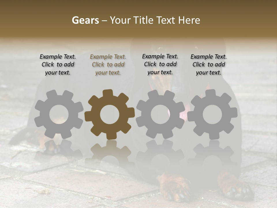 Lying Goodnatured Dog PowerPoint Template