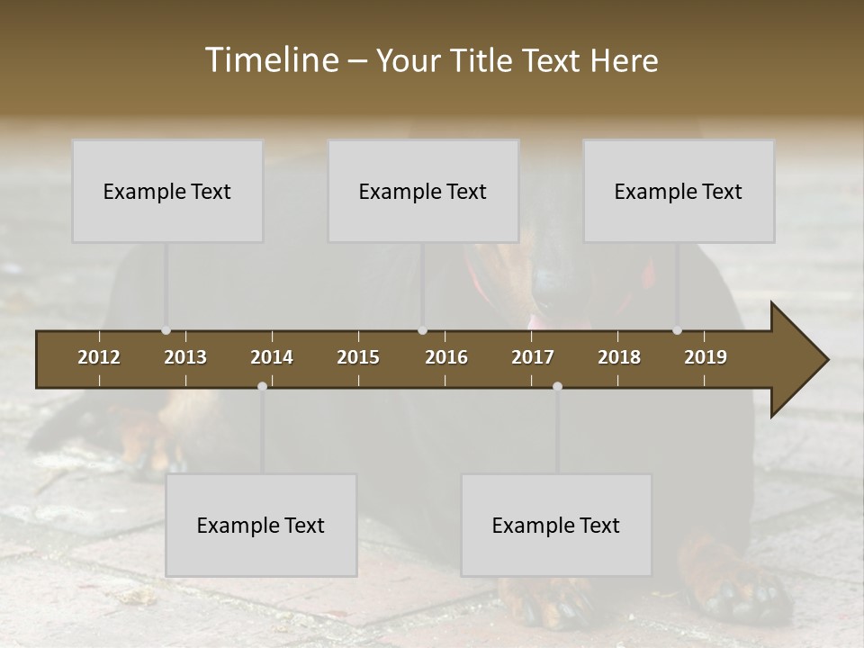 Lying Goodnatured Dog PowerPoint Template