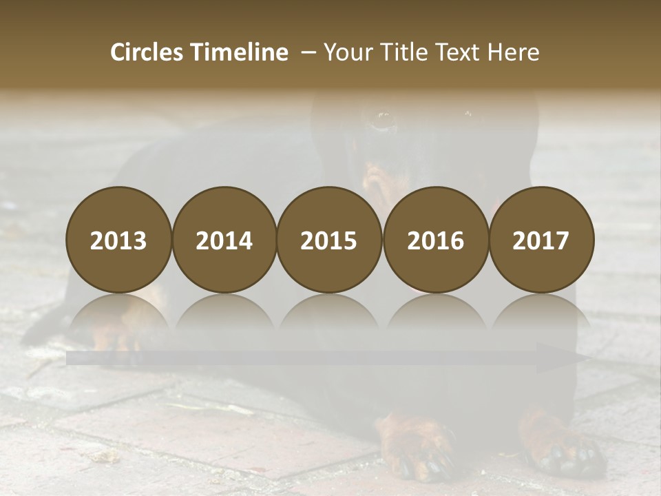 Lying Goodnatured Dog PowerPoint Template