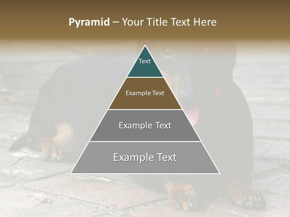 Lying Goodnatured Dog PowerPoint Template