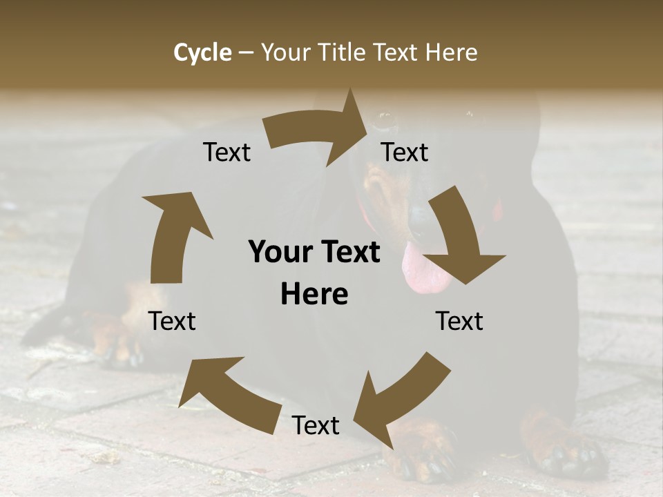 Lying Goodnatured Dog PowerPoint Template