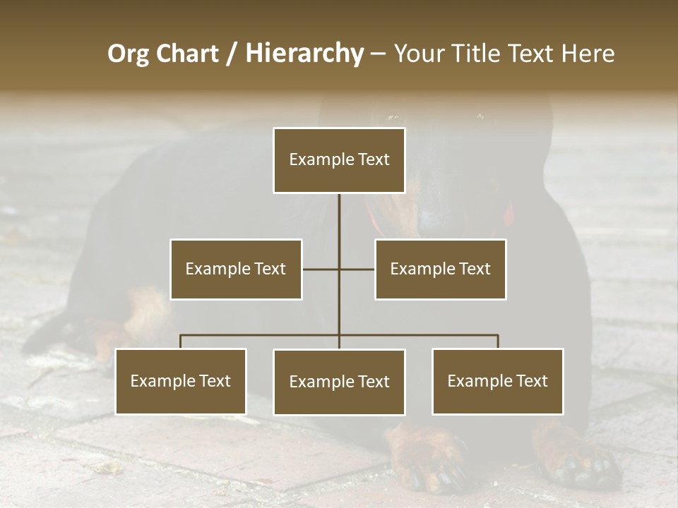 Lying Goodnatured Dog PowerPoint Template