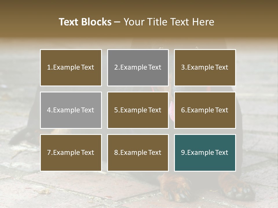 Lying Goodnatured Dog PowerPoint Template