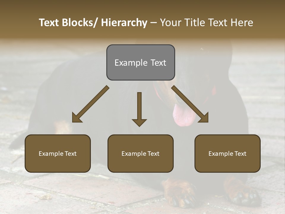 Lying Goodnatured Dog PowerPoint Template