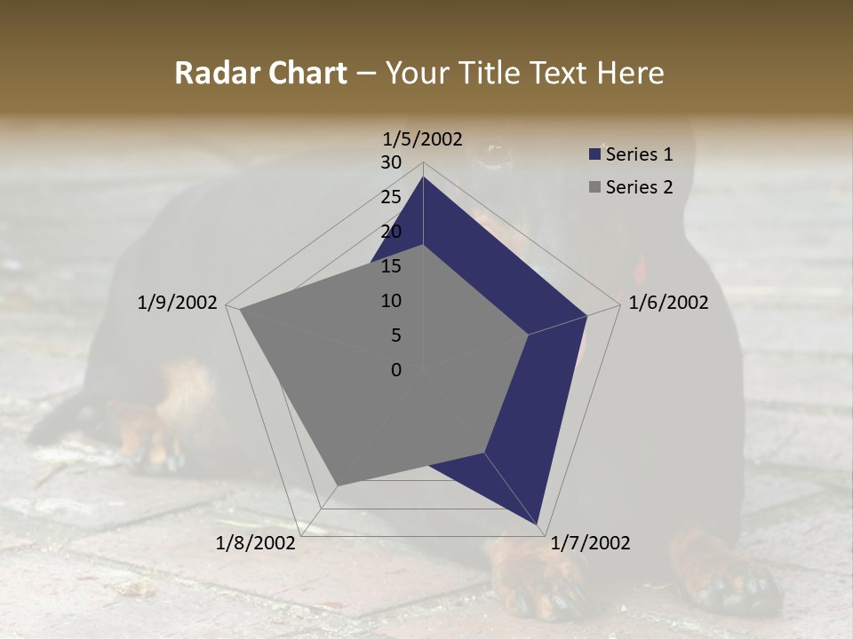 Lying Goodnatured Dog PowerPoint Template