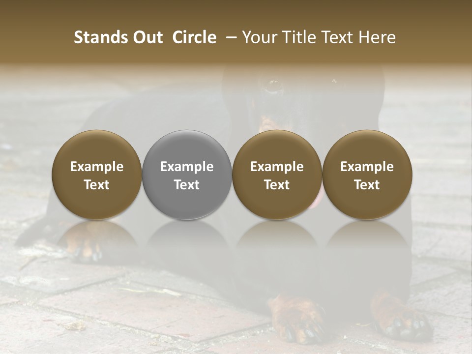Lying Goodnatured Dog PowerPoint Template