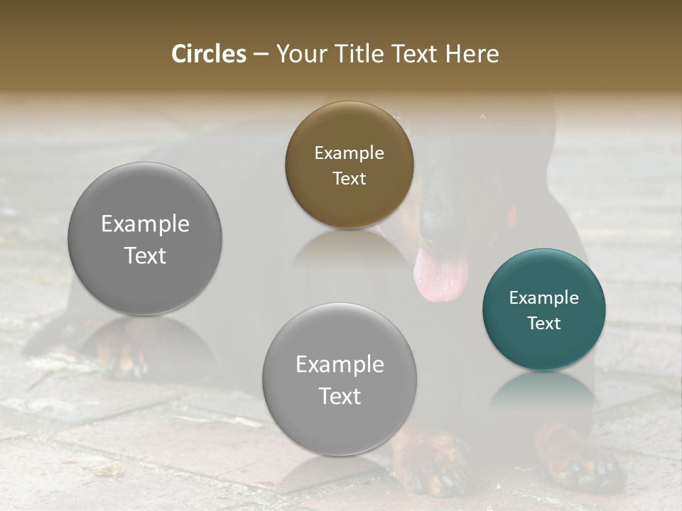 Lying Goodnatured Dog PowerPoint Template