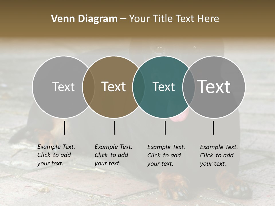 Lying Goodnatured Dog PowerPoint Template