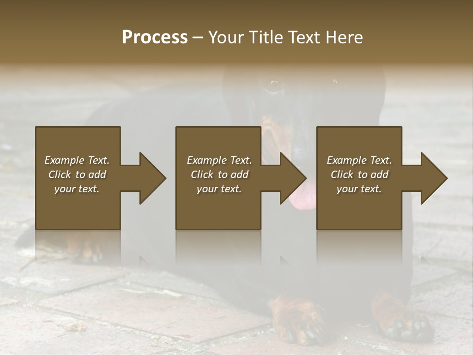 Lying Goodnatured Dog PowerPoint Template