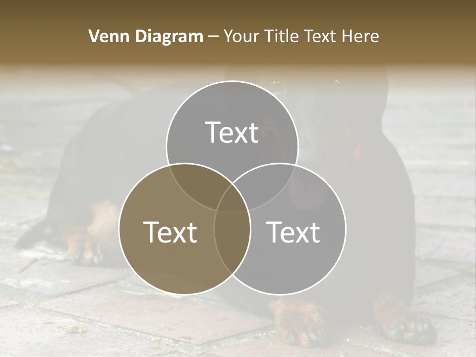 Lying Goodnatured Dog PowerPoint Template
