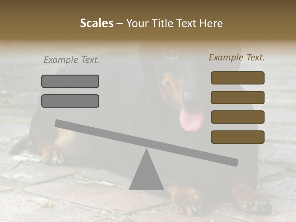 Lying Goodnatured Dog PowerPoint Template
