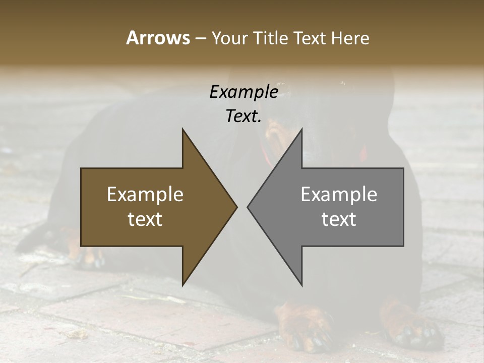 Lying Goodnatured Dog PowerPoint Template