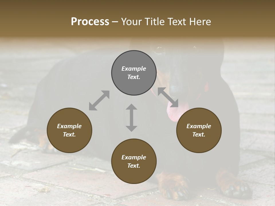 Lying Goodnatured Dog PowerPoint Template