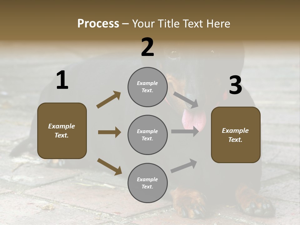 Lying Goodnatured Dog PowerPoint Template