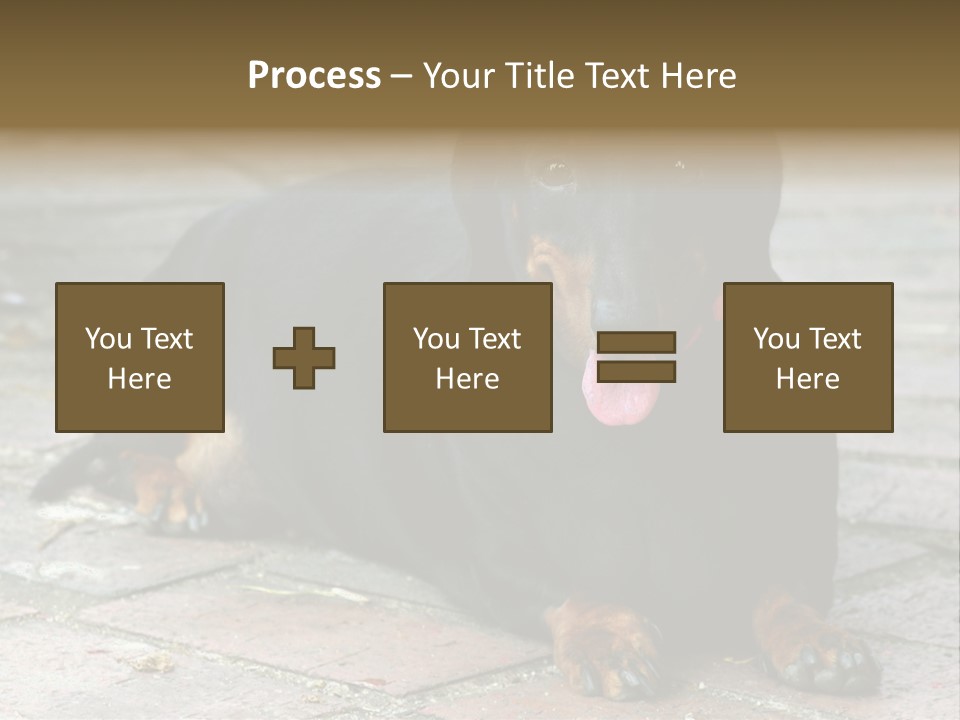 Lying Goodnatured Dog PowerPoint Template