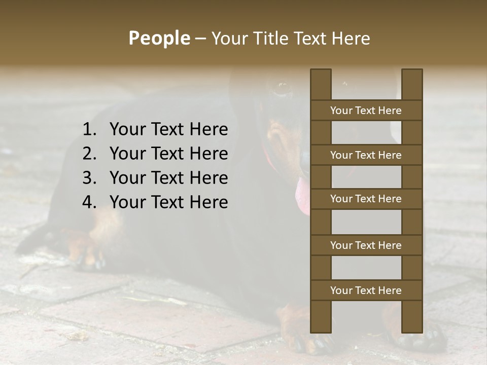 Lying Goodnatured Dog PowerPoint Template