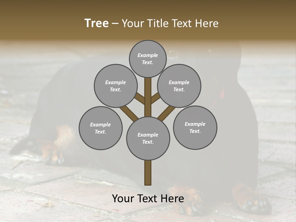 Lying Goodnatured Dog PowerPoint Template