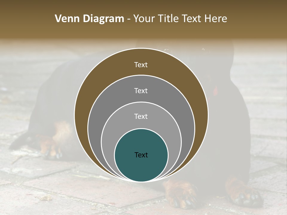 Lying Goodnatured Dog PowerPoint Template