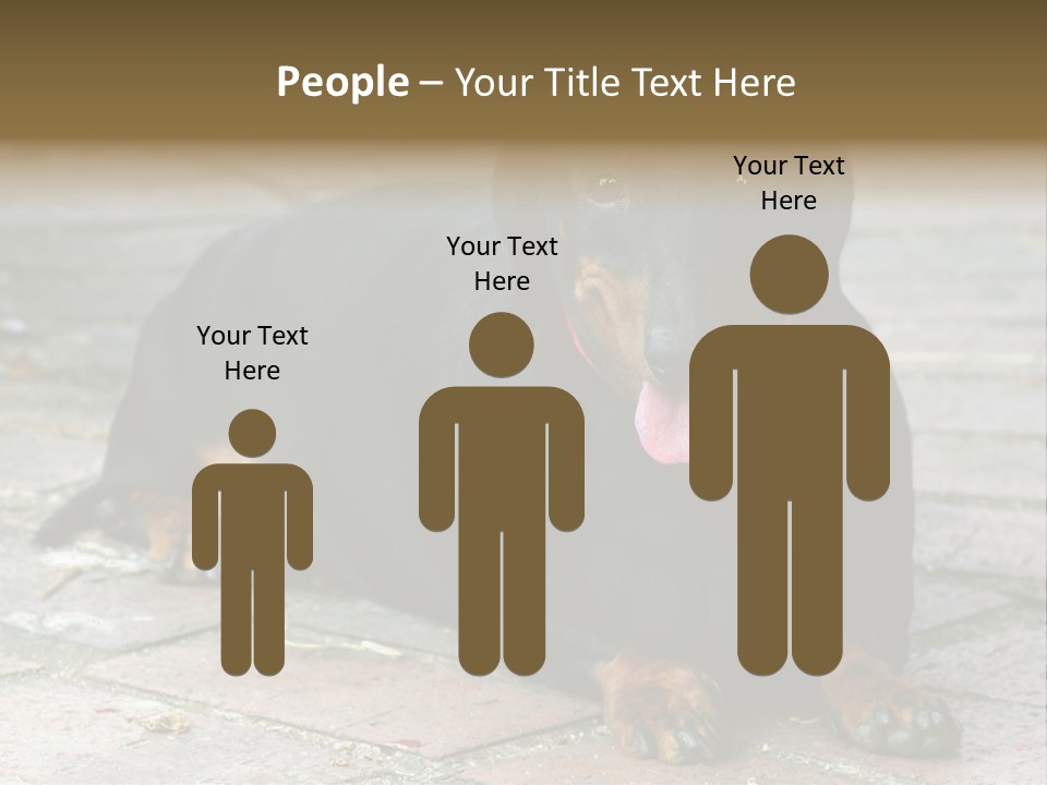 Lying Goodnatured Dog PowerPoint Template