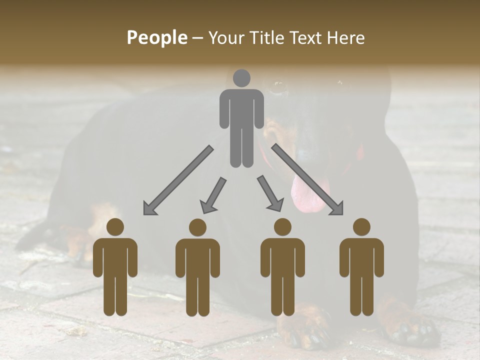 Lying Goodnatured Dog PowerPoint Template