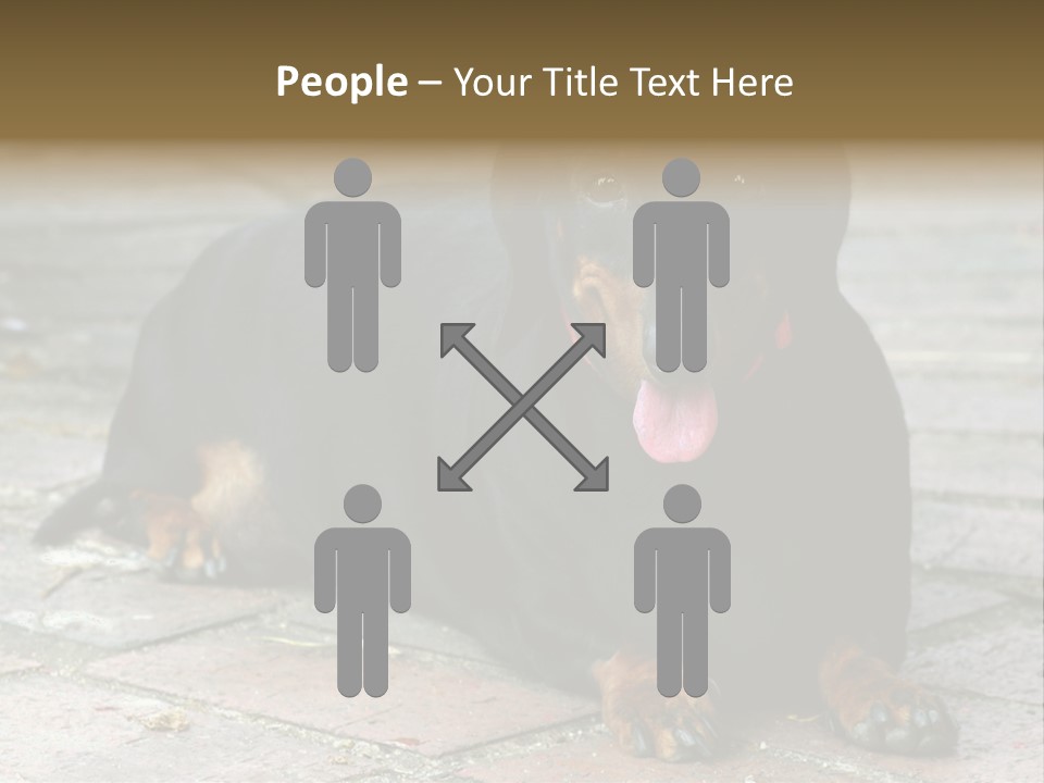 Lying Goodnatured Dog PowerPoint Template