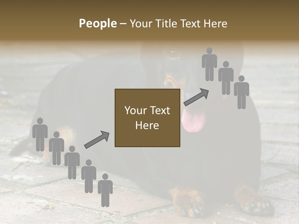 Lying Goodnatured Dog PowerPoint Template