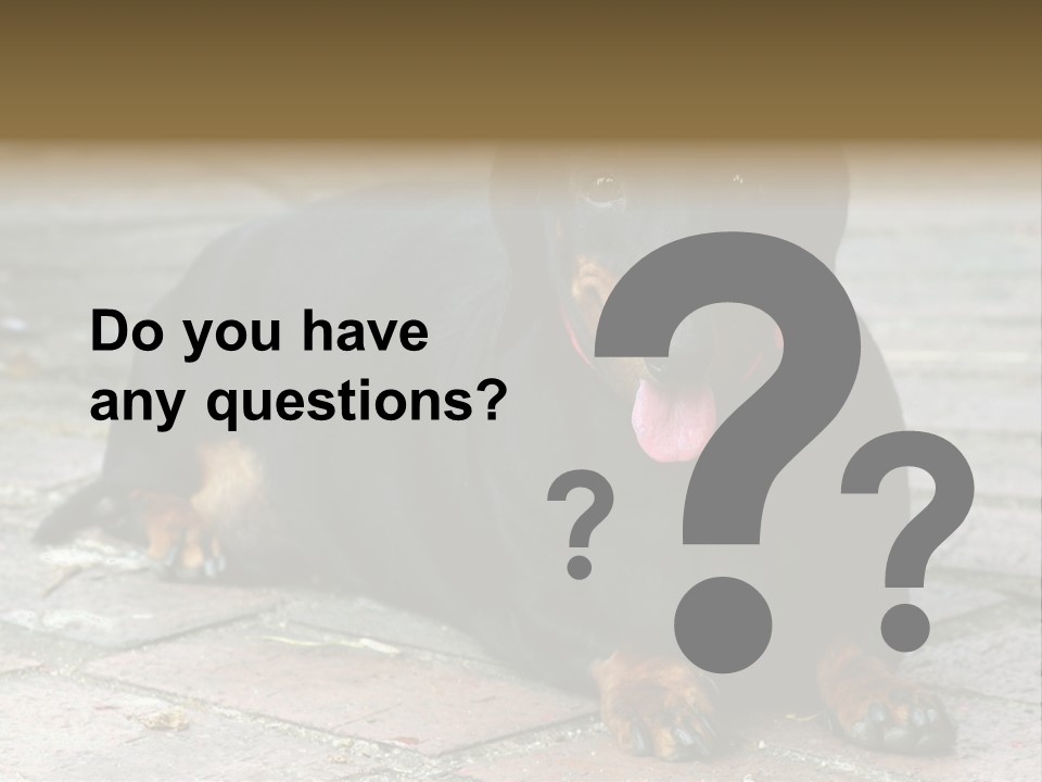 Lying Goodnatured Dog PowerPoint Template