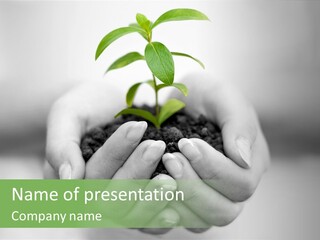 Plant Gardening Green PowerPoint Template