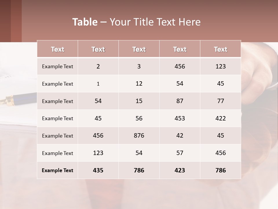 Payments Company Sheet PowerPoint Template