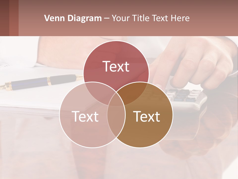 Payments Company Sheet PowerPoint Template