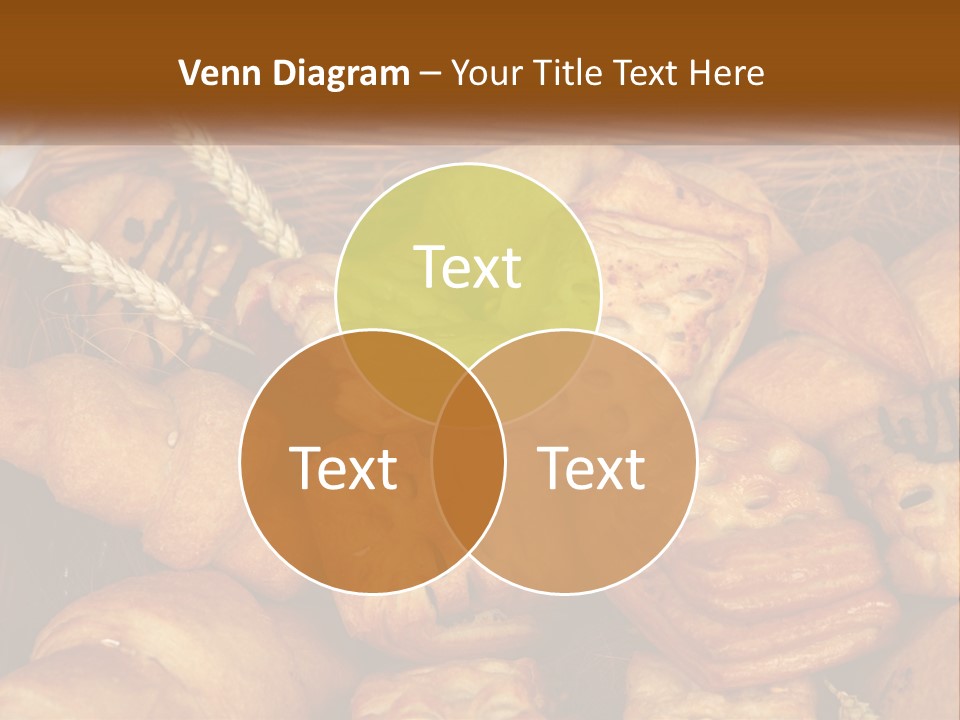 Brown Color Roll PowerPoint Template