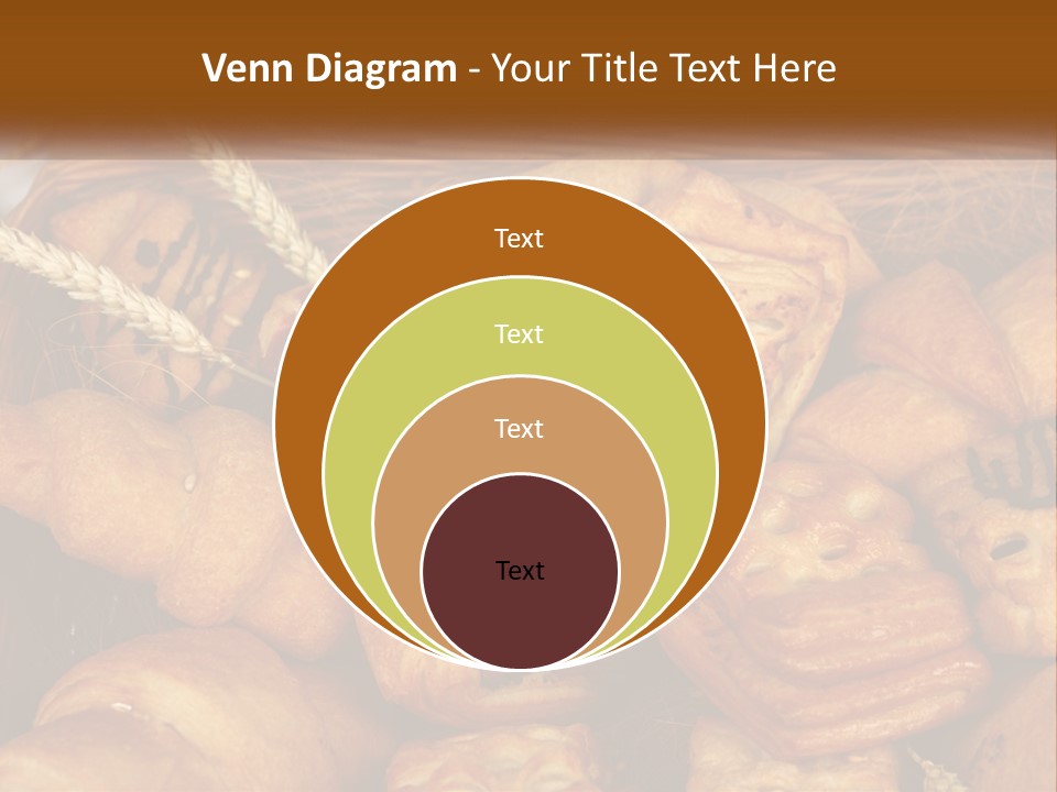 Brown Color Roll PowerPoint Template