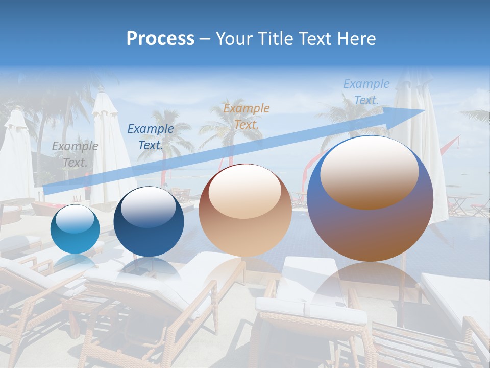 Tree Tropical Palm PowerPoint Template