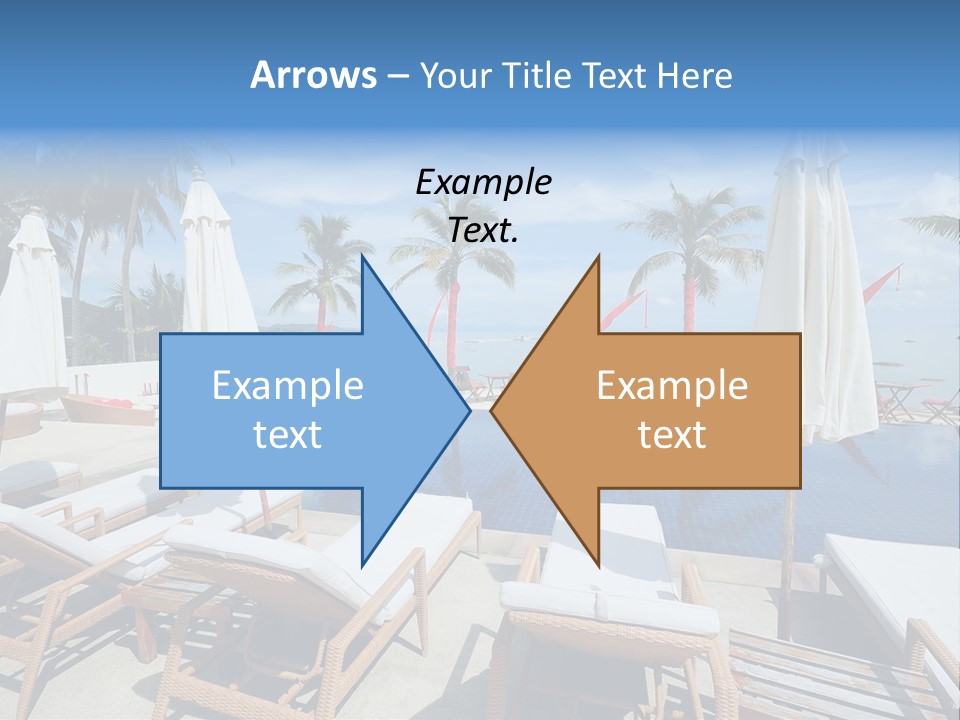 Tree Tropical Palm PowerPoint Template