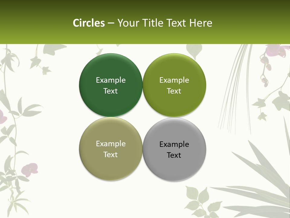 Fresh Freshness Frame PowerPoint Template