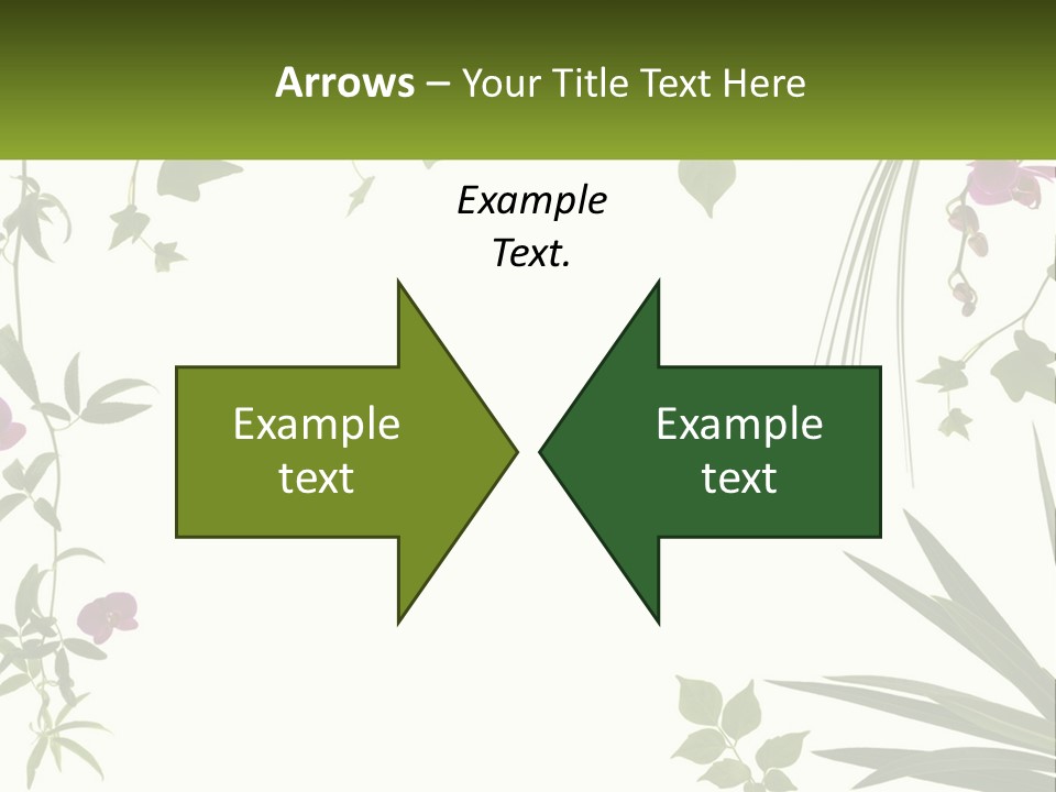 Fresh Freshness Frame PowerPoint Template