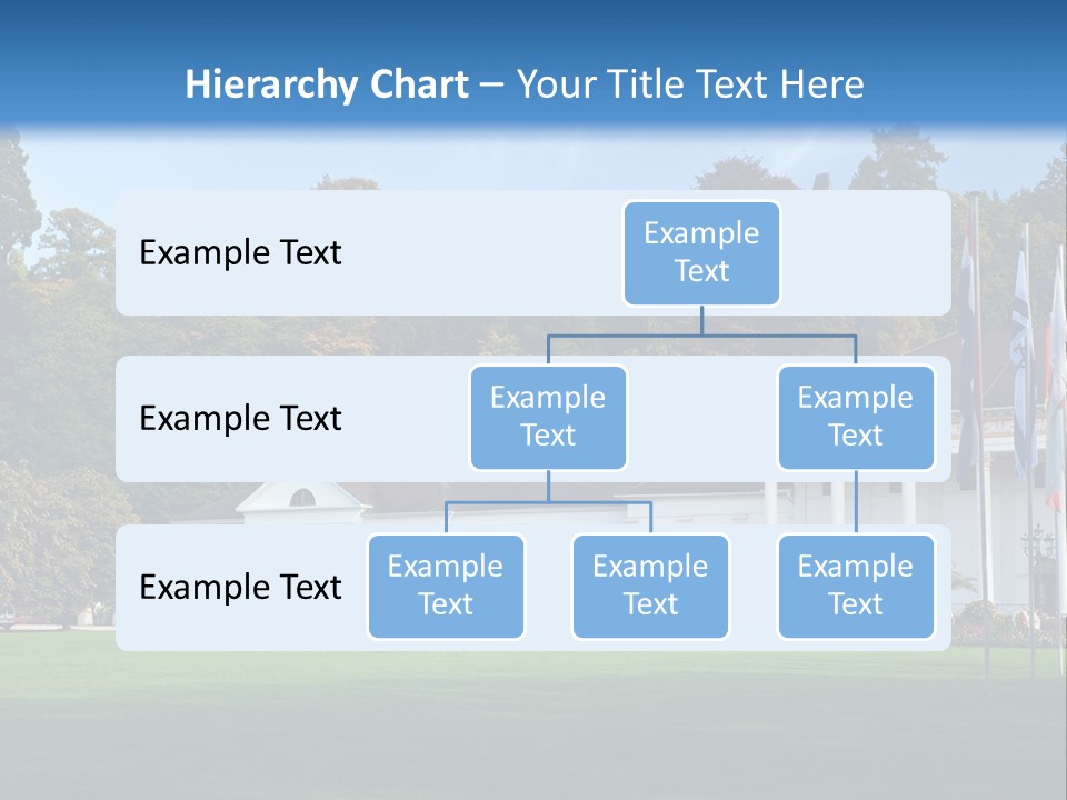 Illuminated Grass Night PowerPoint Template