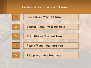 Background Green Barley PowerPoint Template