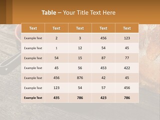 Background Green Barley PowerPoint Template