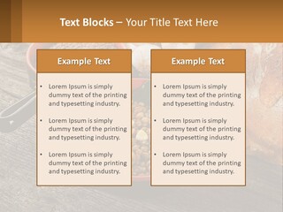 Background Green Barley PowerPoint Template