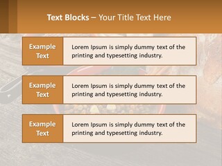 Background Green Barley PowerPoint Template
