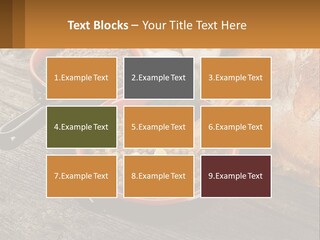 Background Green Barley PowerPoint Template