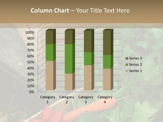 Agricultural Sale Season PowerPoint Template