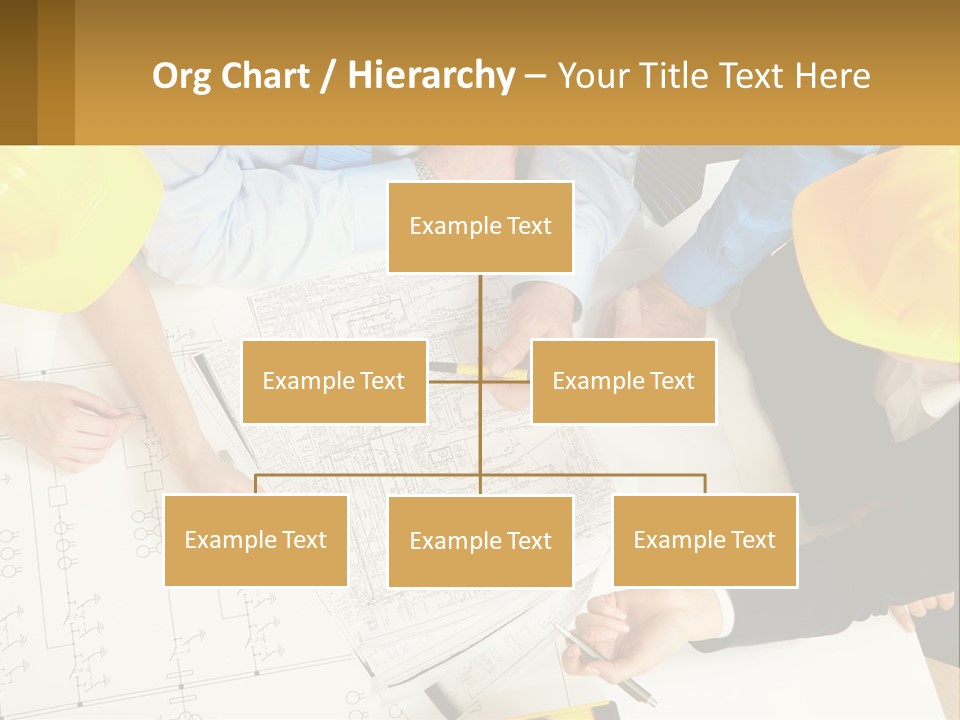Businesswoman Contract Adult PowerPoint Template