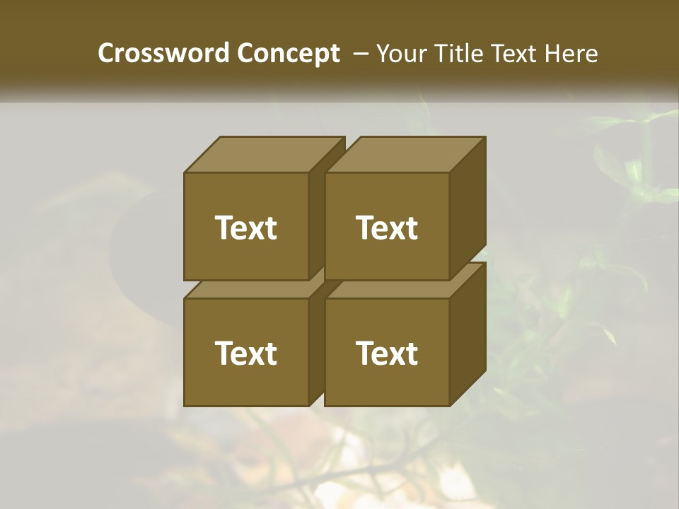 Paddle Scale Green PowerPoint Template
