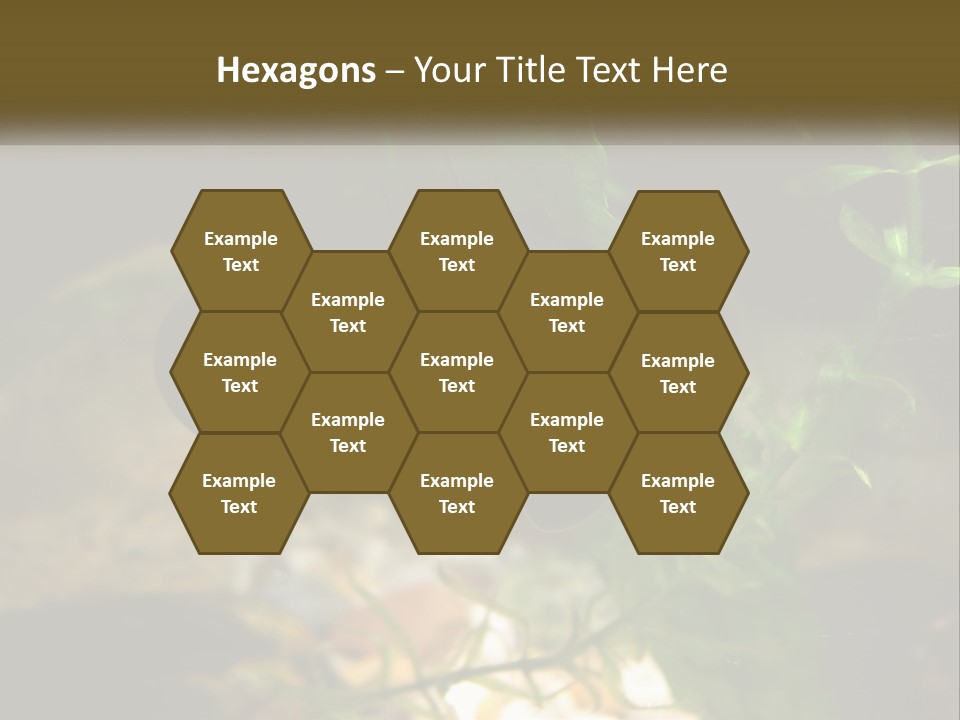 Paddle Scale Green PowerPoint Template
