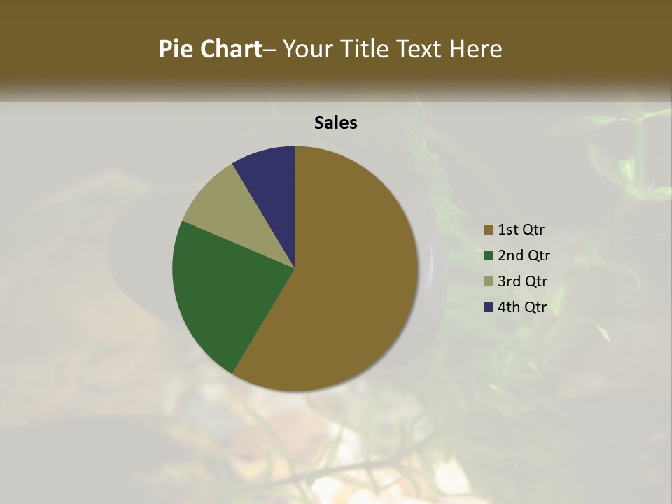 Paddle Scale Green PowerPoint Template