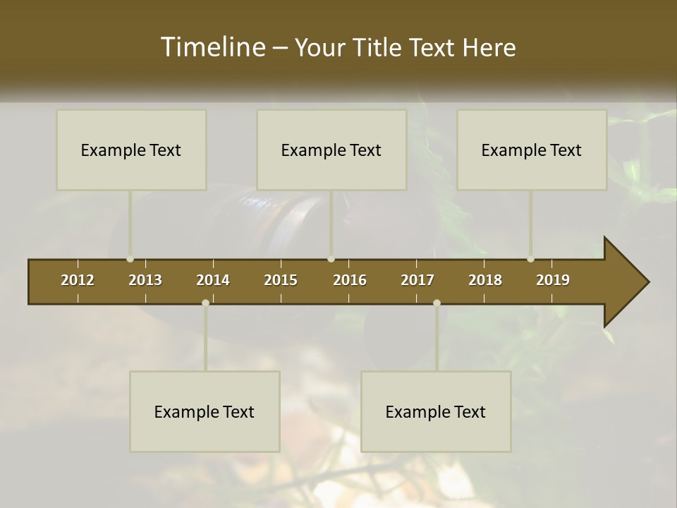 Paddle Scale Green PowerPoint Template