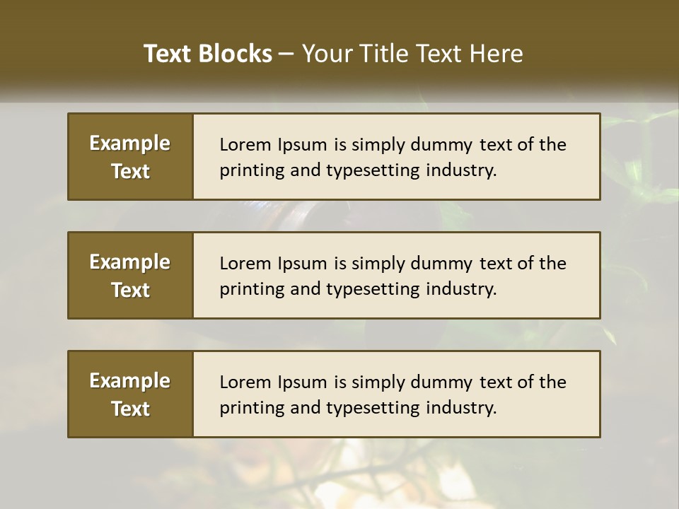 Paddle Scale Green PowerPoint Template