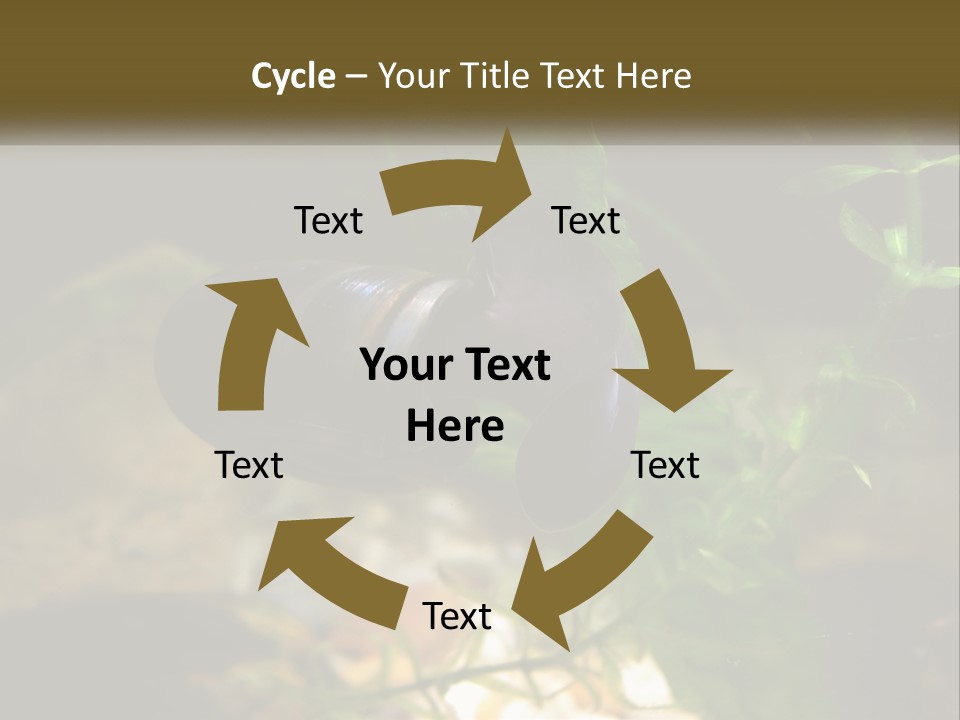 Paddle Scale Green PowerPoint Template